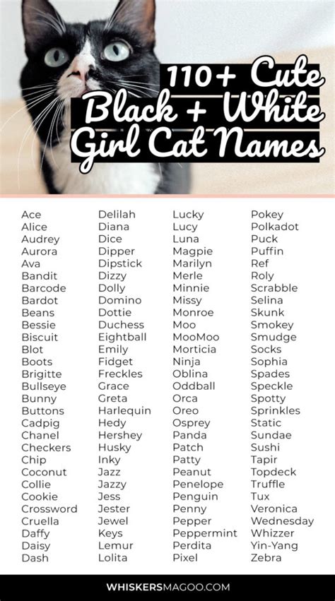 cute black female cat names